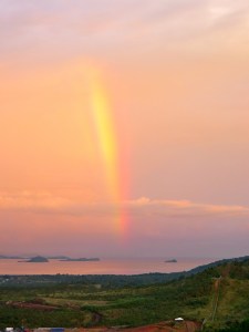 under the protection of the Most High Photo: Shirley Ralston